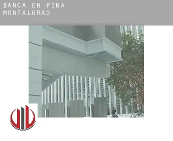 Banca en Pina de Montalgrao