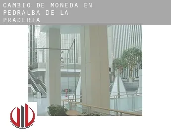 Cambio de moneda en  Pedralba de la Pradería