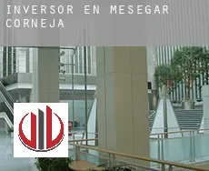 Inversor en Mesegar de Corneja