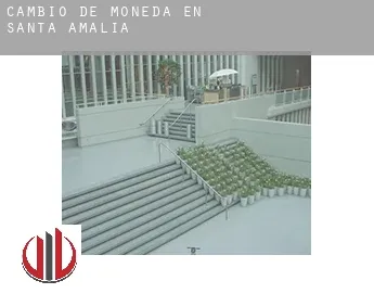Cambio de moneda en  Santa Amalia