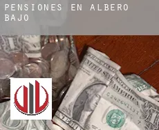 Pensiones en Albero Bajo
