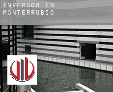 Inversor en Monterrubio
