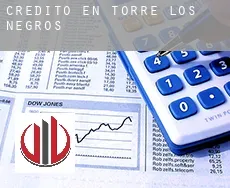 Crédito en Torre los Negros