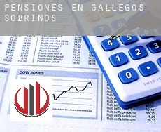 Pensiones en Gallegos de Sobrinos